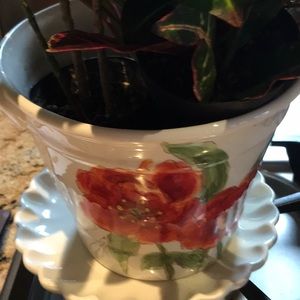 Meet your Posher, Carolyn